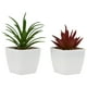 thumbnail image 2 of GOOHOCHY 2 piezas de plantas suculentas artificiales, plantas falsas de escritorio, bonsáis pequeños, bonsáis decorativos., 2 of 7