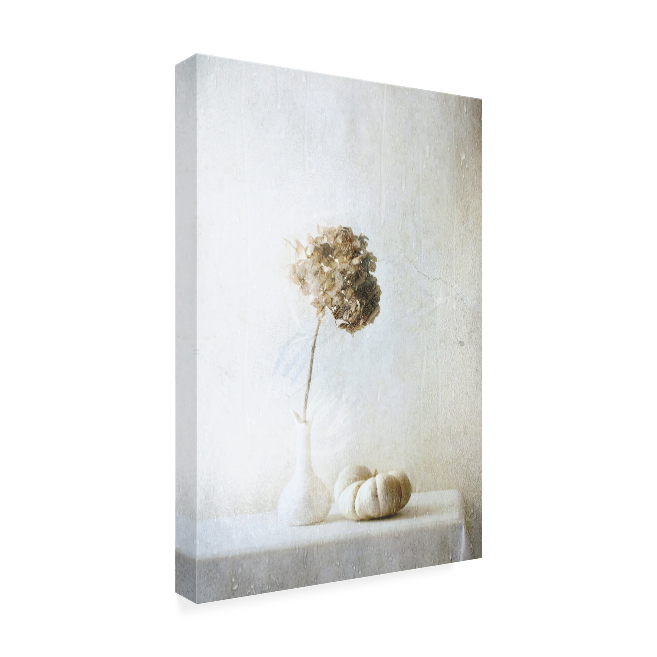 Canvas Wall Art - Delphine Devos 'Autumn Feelings' Wall Art for Living Room, Bedroom, or Office Décor by Trademark Fine Art - 22 x 32 Inches