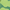 GREEN, variant on Rick and Morty Men's Slide Sandals