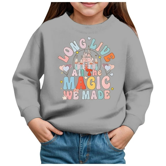 WUANDIXFA Toddler Pullover Sweatshirt Toddler Baby Boy Girl Clothes Crewneck Sweatshirt Long Sleeve Pullover Tops Fall Winter Casual Outfit Back to School Clothes Grey,2 Years