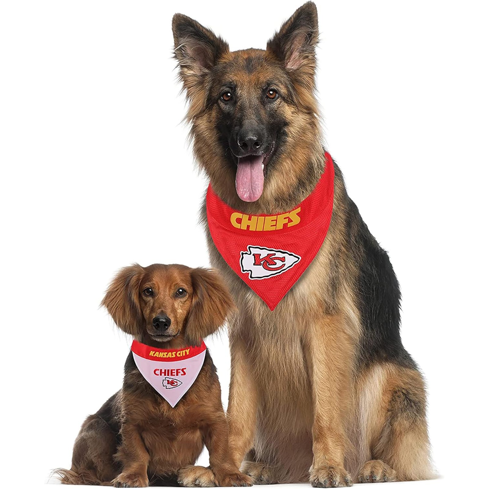 Pets First #1 NFL Party Bandana, Reflective Dog Bandana & Cat Bandana