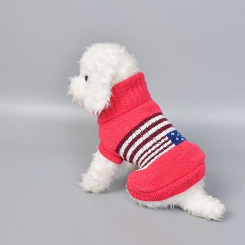 big dog and little dog wearing sweaters big dog and little dog wearing sweaters
