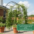 thumbnail image 6 of Garden Trellis Arch 7FT PP-Coated Stainless Steel Metal  Tall Cucumber Trellis for Climbing Plants Outdoor Vegetable Trellis with Trellis Netting, 6 of 7