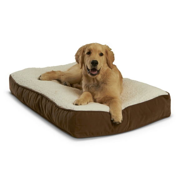Happy Hounds Buster Sherpa Rectangle Pillow Style Dog Bed, Latte, Small (36 x 24 in.)