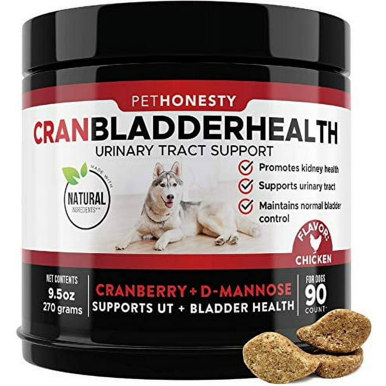 Dog Bladder Infection