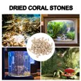 thumbnail image 2 of 1 bolsa de Coral triturado para pecera, filtro de acuario, decoraciones de Coral, diseño de pecera, gravas de Coral, 2 of 8