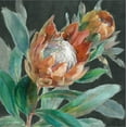thumbnail image 2 of Art.com Deep Tropical Protea Crop Stretched Canvas Print Wall Art by Danhui Nai, 16" x 16", 2 of 4