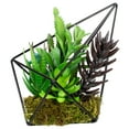 thumbnail image 4 of Northlight 6.75" Succulent Artificial Arrangement in Black Wire Terrarium - Green/Black, 4 of 5