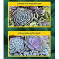 thumbnail image 4 of Fertilizante para brotes de plantas suculentas seguro para el hogar, fertilizante foliar con elemento explosivo, 4 of 5