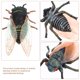 thumbnail image 4 of 3 piezas de modelo de insecto falso juguete cognitivo modelo de cigarra simulación de cigarra falsa juguete de cigarra, 4 of 8