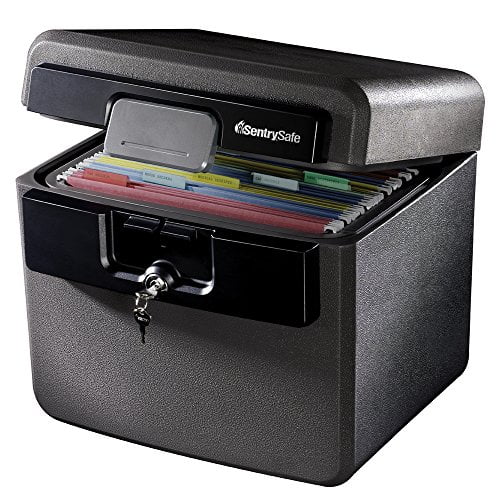 SentrySafe HD4100 Fireproof Safe and Waterproof Safe with Key Lock 0.65 Cubic Feet