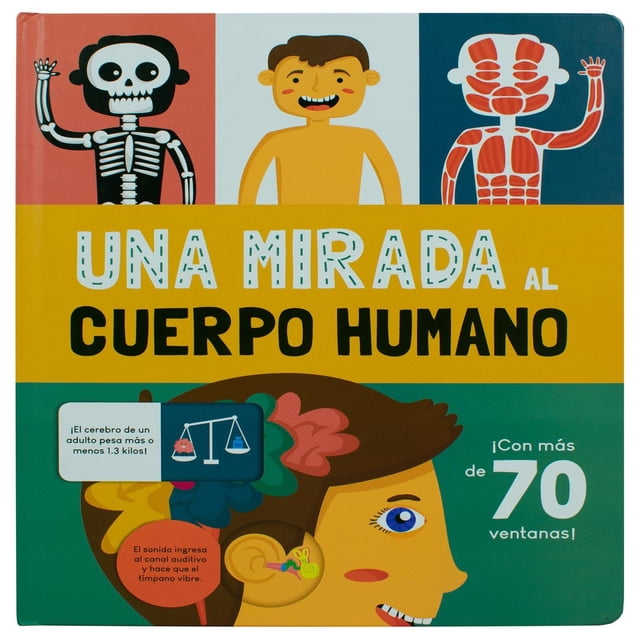 Libro infantil con ventanas: Una mirada al cuerpo humano