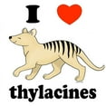 thumbnail image 2 of CafePress - I Love Thylacines Mug - 11 oz Ceramic Mug - Novelty Coffee Tea Cup, 2 of 4