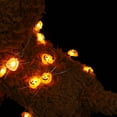thumbnail image 2 of Miangastore Halloween Pumpkin String Light Outdoor String Lamp (20LEDs, No Battery), 2 of 8