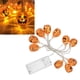 thumbnail image 4 of Lámpara de calabaza ANGGREK luz de Cadena 10 LED bajo voltaje, 4 of 8