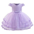 thumbnail image 2 of NAISIBABY Girls Floral Dress, Short Sleeve Back Zipper Mesh Embroidered Tulle Gown Party Pageant Dress Purple 4T, 2 of 6