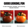 thumbnail image 3 of Persimmon peanuts change color in water tea pet tea set decoration decoration simulation fruit shape tea table tea playorange, 3 of 5
