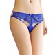 thumbnail image 1 of Gibobby Calzoncillos Talle Bajo Dama Bragas de mujer Calzoncillos de cintura Cinta de encaje transparente Tanga de mujer(Azul，Talla única), 1 of 5