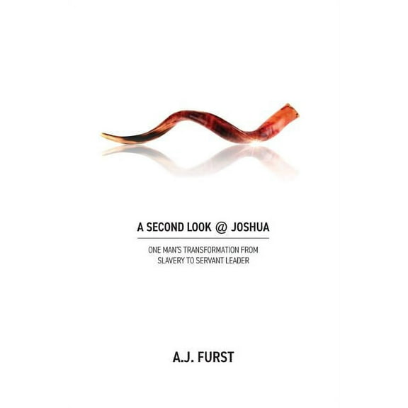 A Second Look @ Joshua, (Paperback)