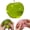 Apple-green, variant on Fruit Soft Balls, Giant Grape Jumbo Squeezes Ball, Cute Taba Balls,Sensory Fidget Anxiety Relief, Novelty Stress Relief Fruit