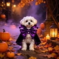 thumbnail image 2 of Halloween Pet Cute Festival Cos Clothing for Dogs and Cats Light Soft Cozy Holiday Dress Up Outfit Adjustable Size Pet Party Photo Prop Trick, 2 of 7
