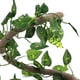 thumbnail image 4 of M Buder Set de Rama Trepadora para Reptiles y Enredadera de Jungla Flexible 100 cm / 3.28 ft con Hojas de Potos para Terrario y Decoración de Acuario Seguro, 4 of 9