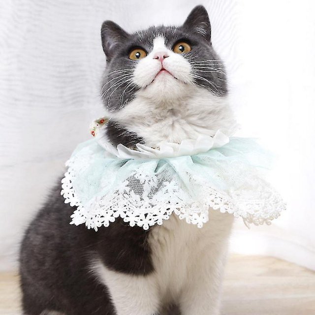 Disfraz De Boda De Gato,Vestido De Novia De Gato Princesa, Bandana, Collar, Velo Y Lindo Encaje, Compatible Solo con Gatos, Fiesta De Cumpleaños