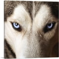 thumbnail image 1 of ARTCANVAS Wolf on Cliff Observing Mountain Landscape Canvas Art Print - Size: 26" x 26" (0.75" Deep), 1 of 9