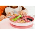 thumbnail image 4 of Munchkin Stay Put Suction Plate, Color May Vary, 4 of 8