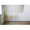 thumbnail image 4 of Evolve Stain Blocking Primer & Sealer, Quick-Dry & Low Odor Paint Primer, White, 1 gal, 4 of 6