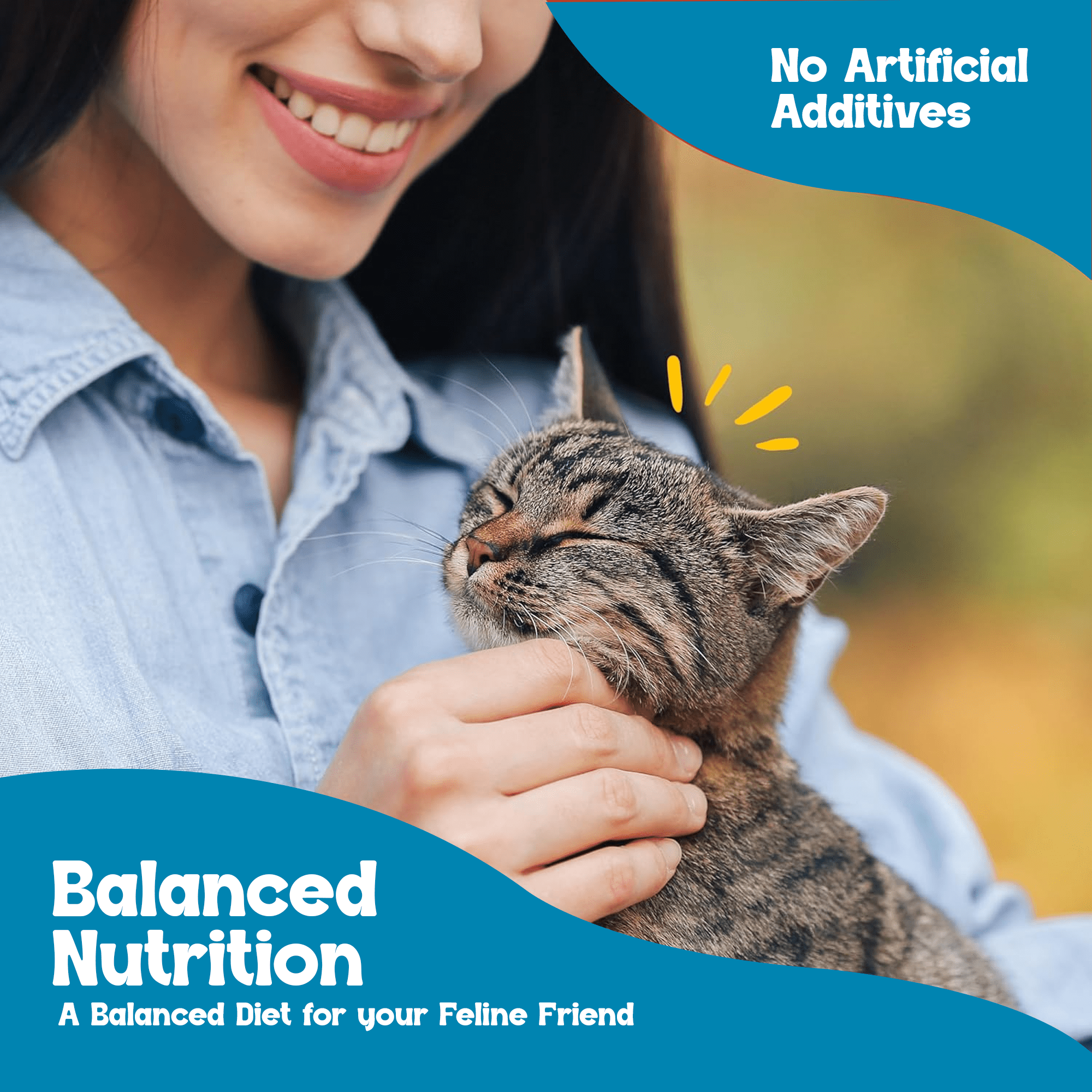 Beefeaters Tuna Pate Wet Cat Food 5.5oz (24-Pack) | Adult Wet Food with Taurine, Premium Catfood Wet Food, No Artificial  Additives, Balanced Nutrition | Supports Immune System & Vision