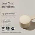 thumbnail image 3 of Sports Research® Collagen Peptides - Hydrolyzed Type 1 & 3 Collagen Powder Protein Supplement (82 Servings), 3 of 9