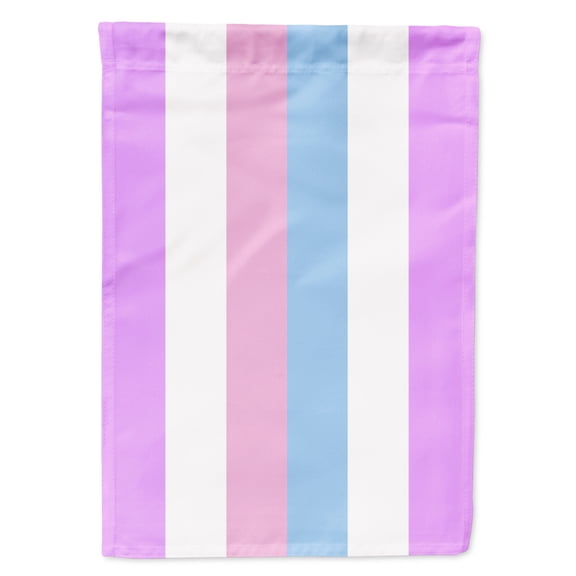 Carolines Treasures CK7996CHF Bigender Pride Flag Canvas House Size Large multicolor