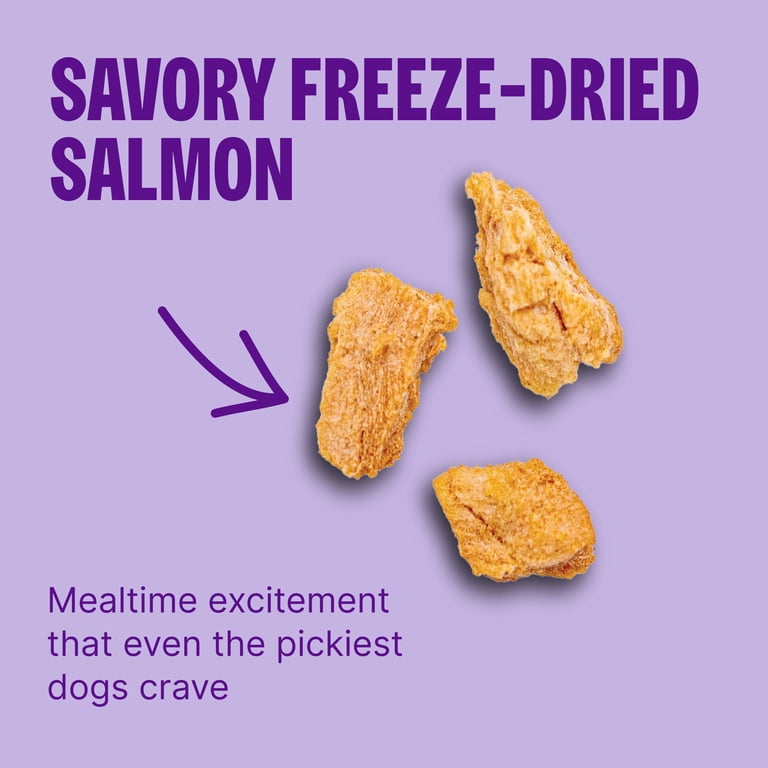 Sensitive Stomach Dry Dog Food with Freeze-Dried Salmon photo 5
