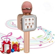 Wireless Karaoke microphone speaker with Magic voice, FM & AM Radio, Recording