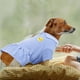 thumbnail image 5 of Piezas Vestido de perro Vestido de mascota transpirable Vestido de cachorro de malla Linda falda de perro Elegante ropa de verano para mascotas Ropa de perrito para perros pequeños Gatos Mascotas, 5 of 7