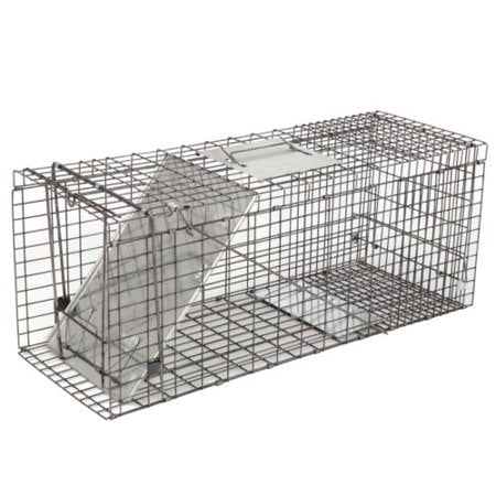 ZENY 32'' Humane Live Animal Trap Cage, 1-Door Rodent Steel Catch and Release for Raccoons, Cats, Groundhogs, Opossums, Stray Cat, Squirrel, Mole, Gopher, (Best Way To Catch A Mole)