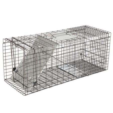 ZENY 32'' Humane Live Animal Trap Cage, 1-Door Rodent Steel Catch and Release for Raccoons, Cats, Groundhogs, Opossums, Stray Cat, Squirrel, Mole, Gopher, (Best Way To Catch A Squirrel)