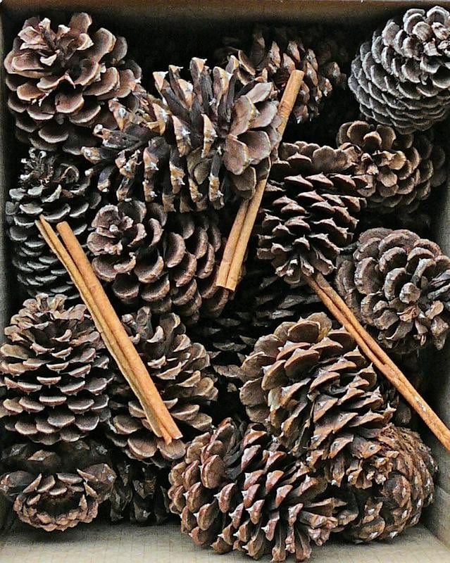 Cinnamon Scented Pine Cones with Cinnamon Sticks 30 per box Brown