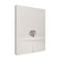 thumbnail image 2 of Trademark Fine Art Lena Weisbek White Desert Canvas Wall Art, 2 of 4