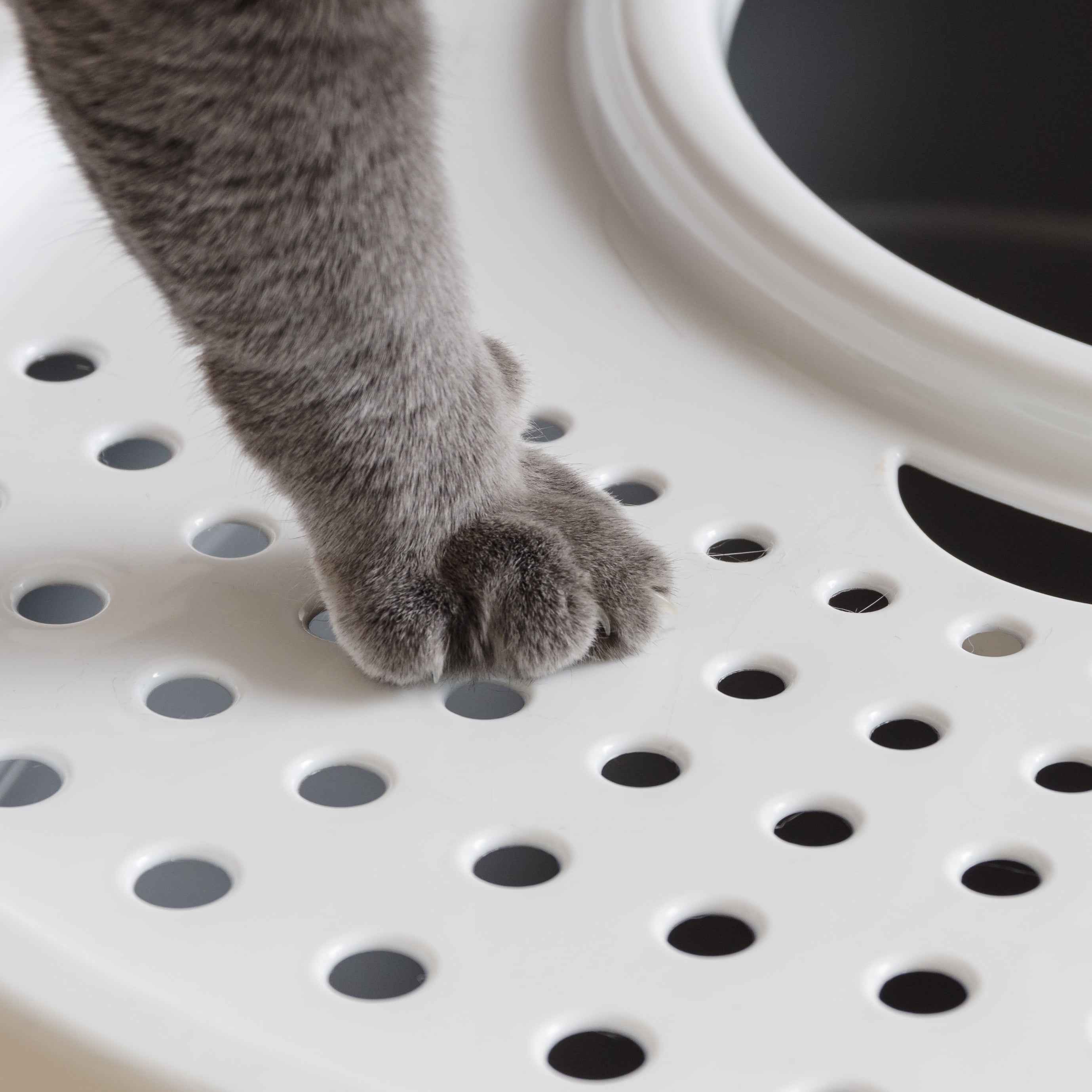 IRIS Oval Top Entry Cat Litter Box with Litter Catching Lid, Privacy Walls and Scoop, Gray/White