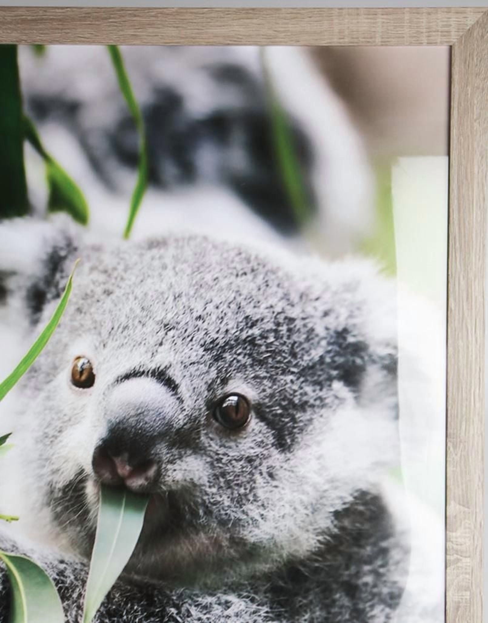 Hometrends Classified Perfection Poster Frame