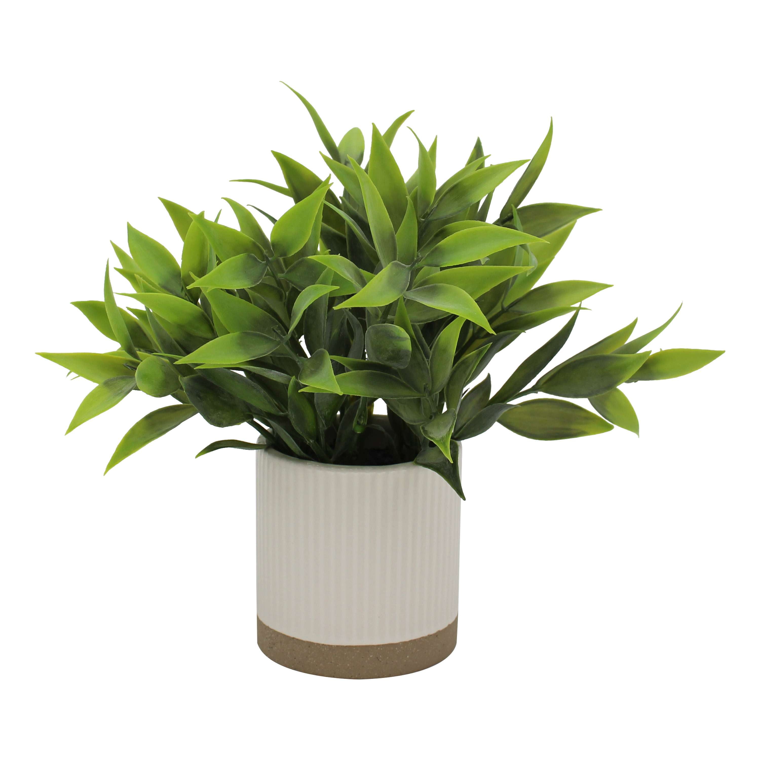Mainstays by Becky G. & Alejandra 8" Artificial Tealeaf in White Two-Tone Ribbed Ceramic Pot
