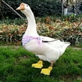 thumbnail image 4 of TELOLY Pet Duck Shoes Waterproof Material Duck Booties,Protects Pet Paws Provides All-Day Protection Shoes for Duck,Yellow, 4 of 4