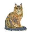 thumbnail image 2 of Amazing Custom Cat Portraits [Maine Coon Cat] Embroidered Iron On/Sew Patch (4.5" x 3.5") Made in USA], 2 of 3