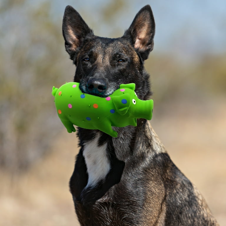 Busy Toys for Dogs That Are Fillable 