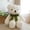 white, variant on 32cm Classic Teddy Bear Plush Toy with Green Ribbon, Soft Stuffed Animal in Brown/White for Kids and Gifting