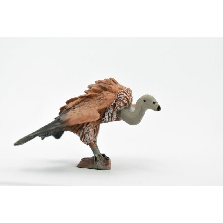 Vulture, Museum Quality, Rubber Bird, Hand Painted