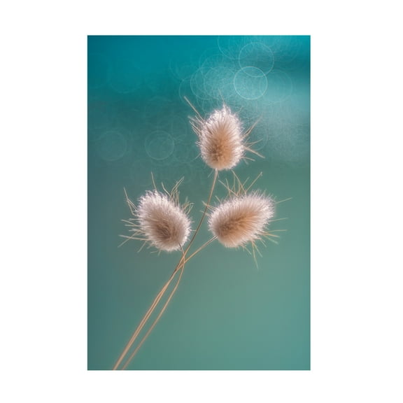 Trademark Fine Art Lydia Jacobs Ribbit Tails Canvas Wall Art