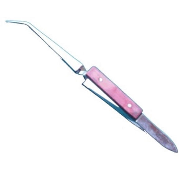 Tweezers,6" Angled Tension